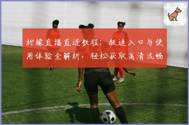 柠檬直播直连教程：极速入口与使用体验全解析，轻松获取高清流畅直播服务