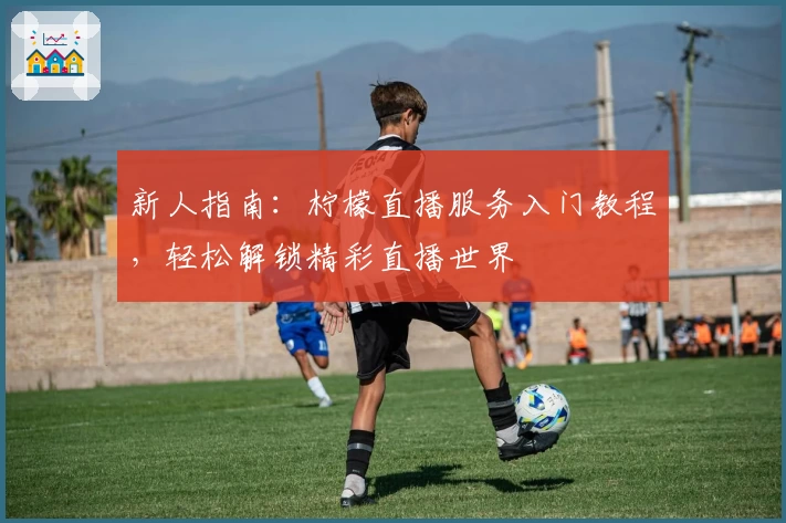 新人指南：柠檬直播服务入门教程，轻松解锁精彩直播世界