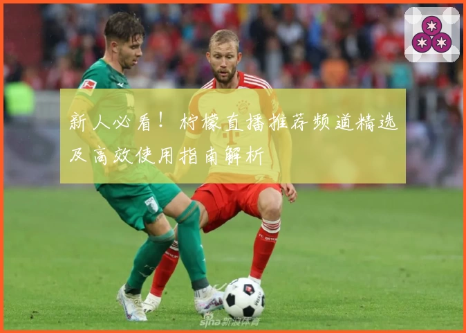 新人必看！柠檬直播推荐频道精选及高效使用指南解析