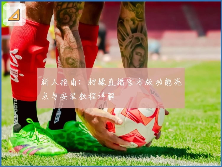 新人指南：柠檬直播官方版功能亮点与安装教程详解